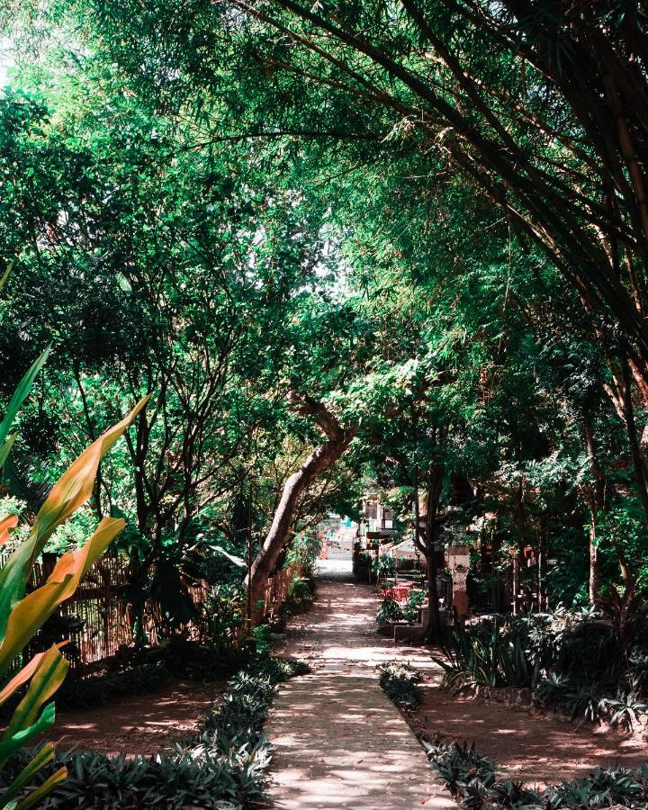 טאגבילראן סיטי Oasis Balili Heritage Lodge מראה חיצוני תמונה